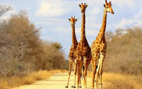 Oost en Zuidelijk Afrika