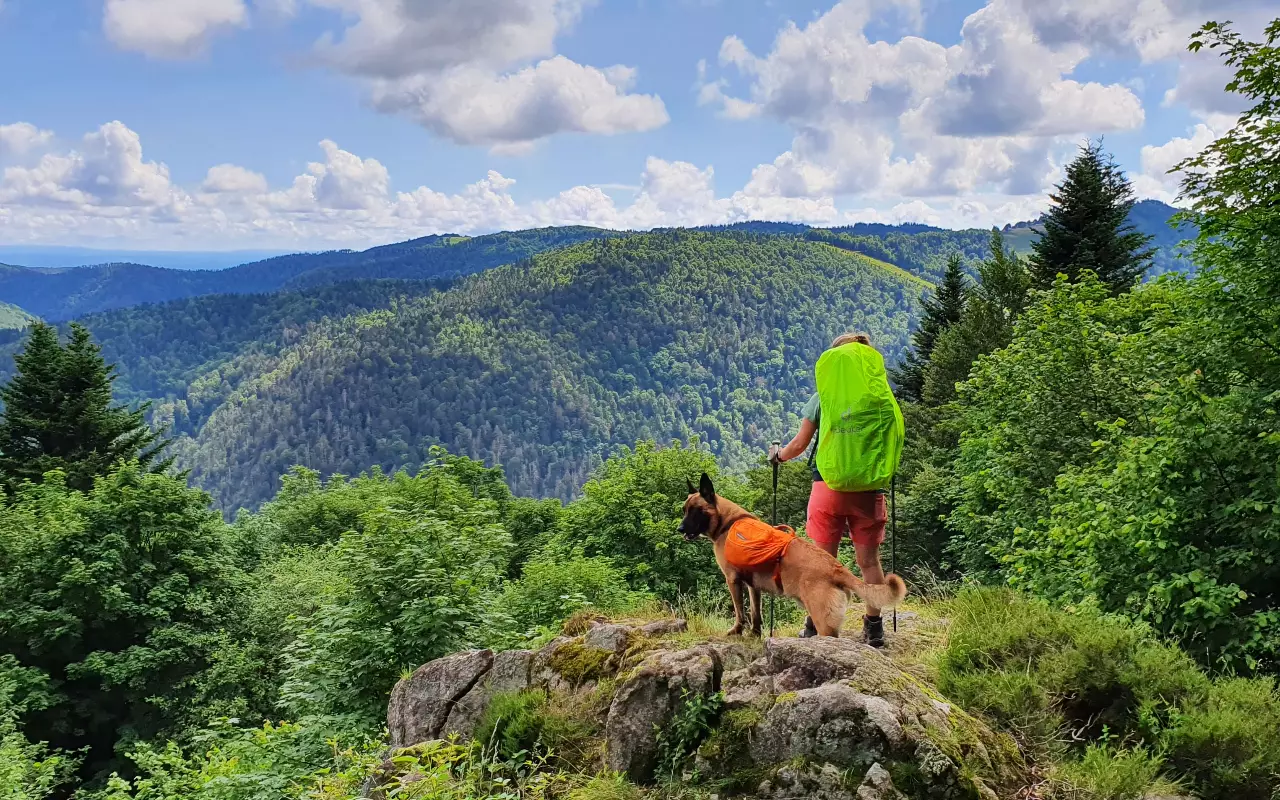 Bergwandelen en wildernistrekking