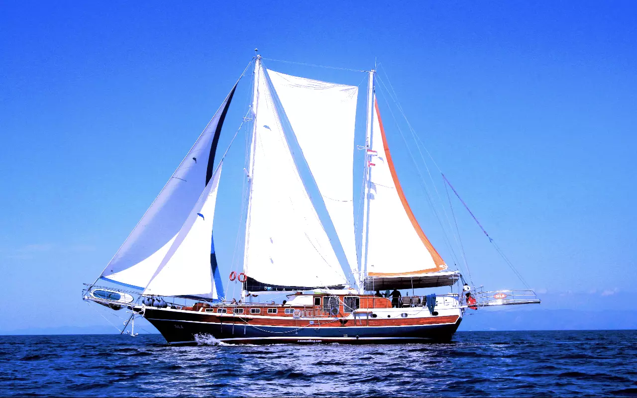Blue cruises