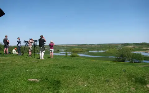 vogelreizen