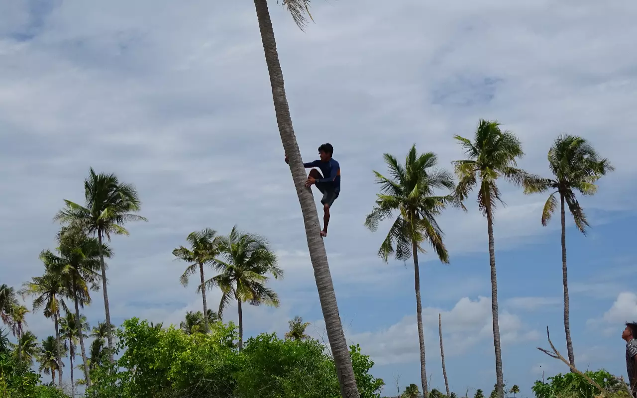 Indonesië
