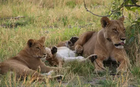 Botswana
