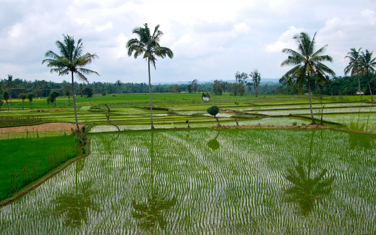 Indonesië