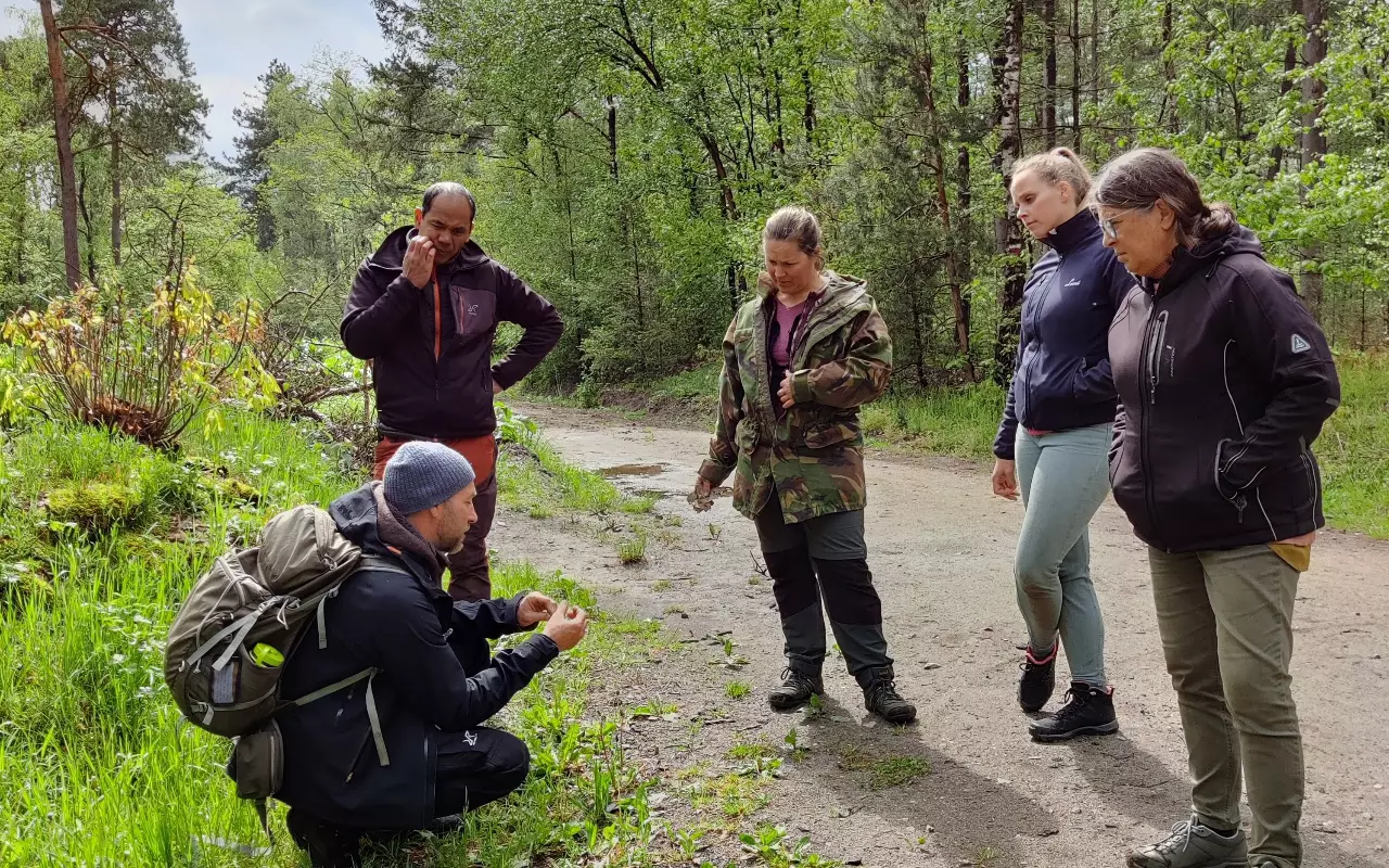 Bergwandelen en wildernistrekking
