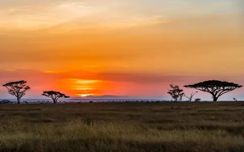 Tanzania
