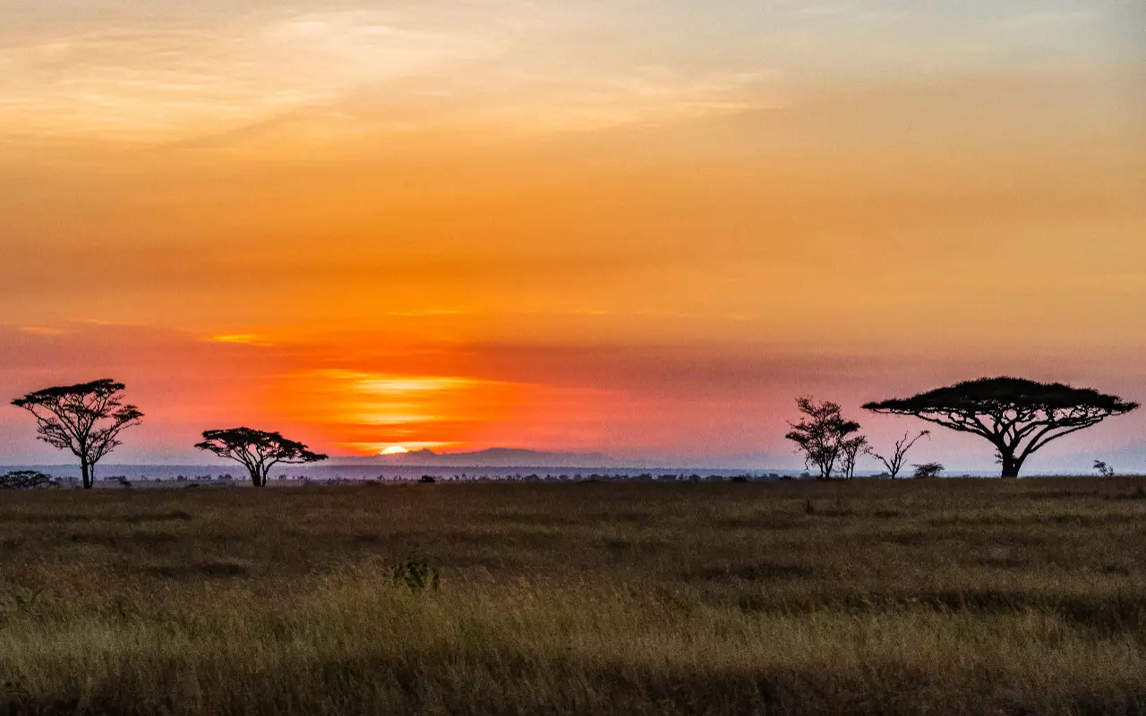 Tanzania