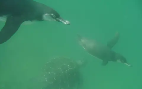 Ecuador & Galapagos