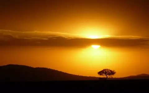 Safari Oost- en Zuidelijk Afrika