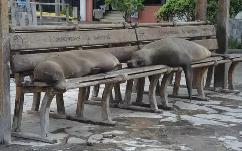 Ecuador & Galapagos