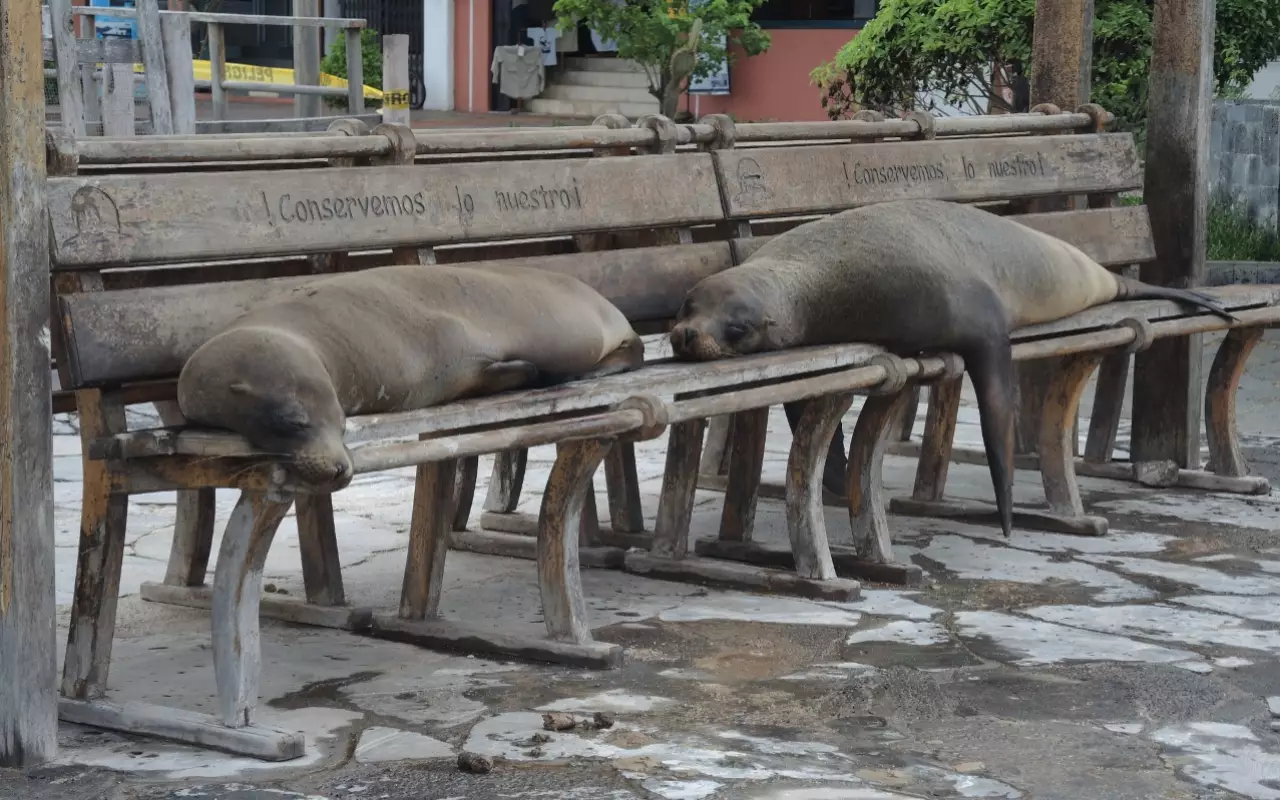 Ecuador & Galapagos