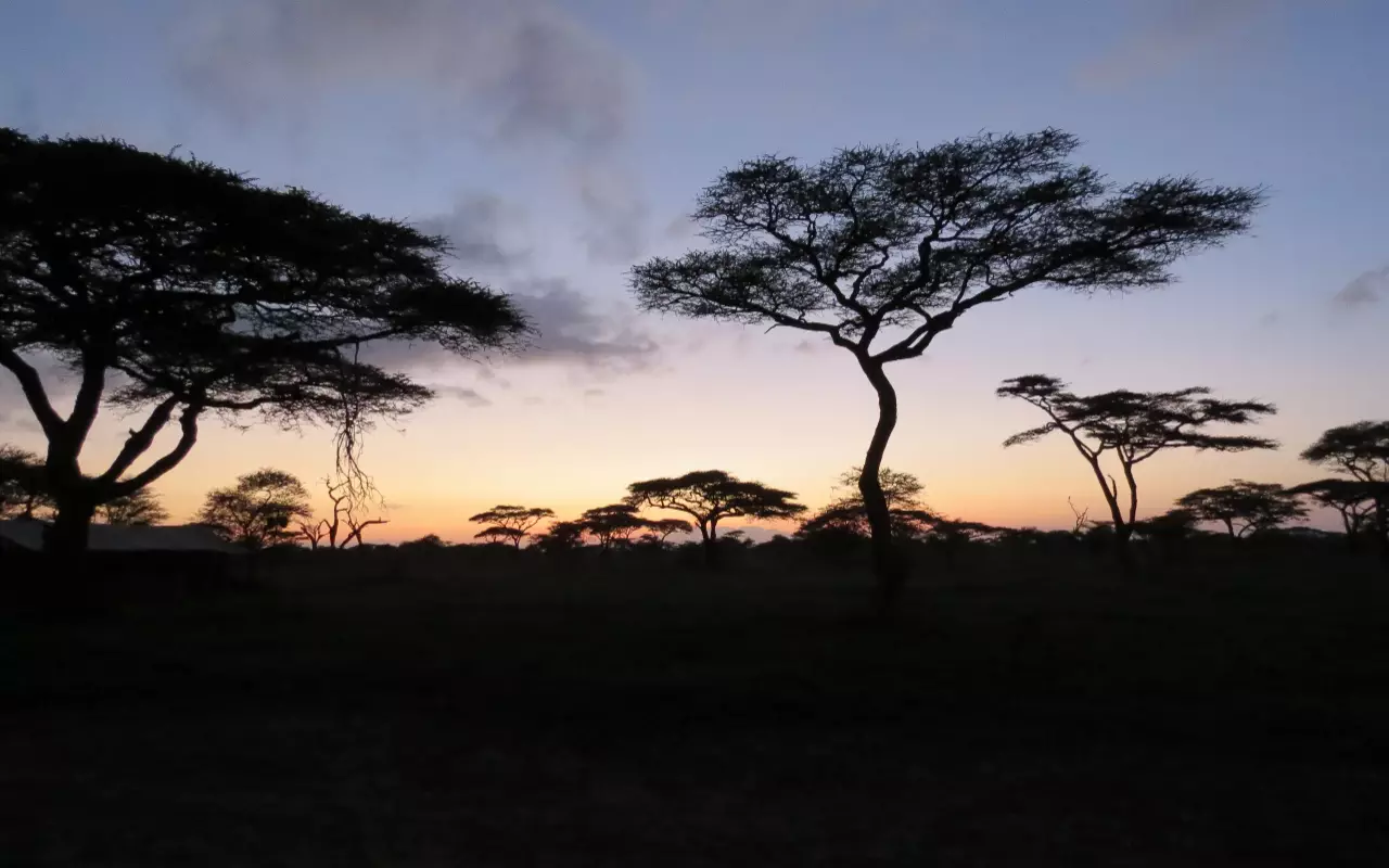 Tanzania