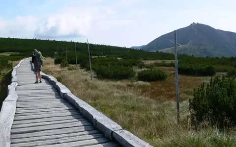 Tsjechië