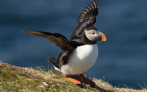 Natuurreizen in Europa
