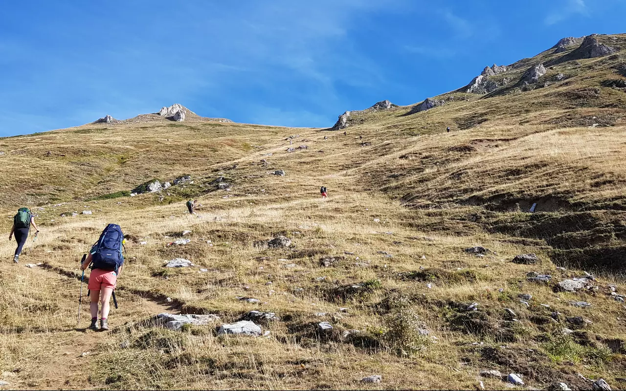 Bergwandelen en wildernistrekking