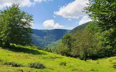 Bergwandelen en wildernistrekking