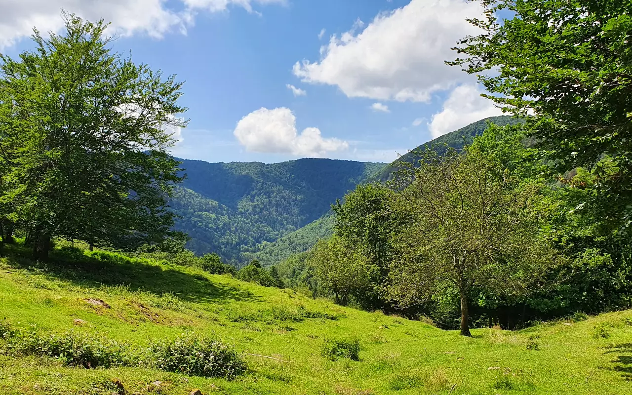 Bergwandelen en wildernistrekking