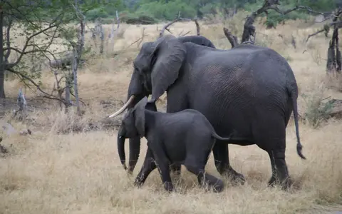 Botswana