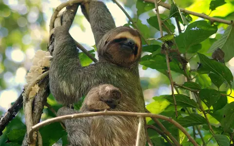 Costa Rica