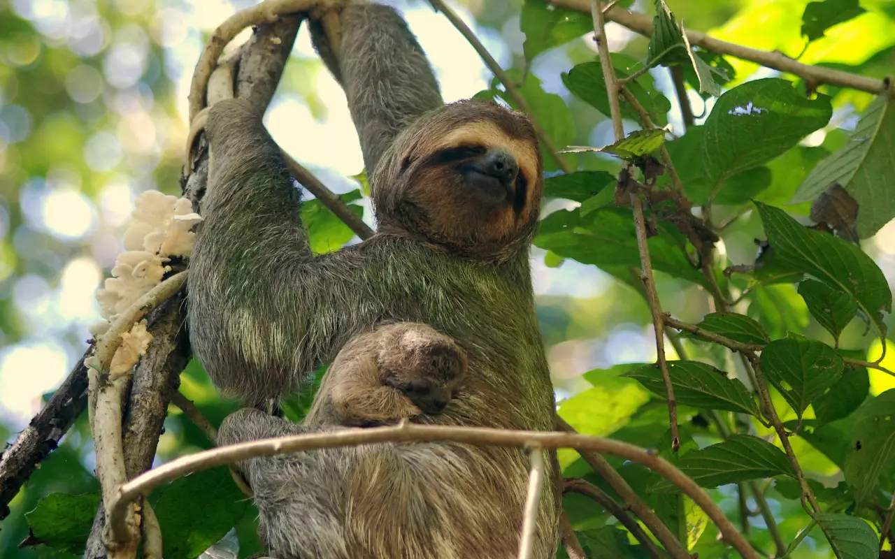 Costa Rica