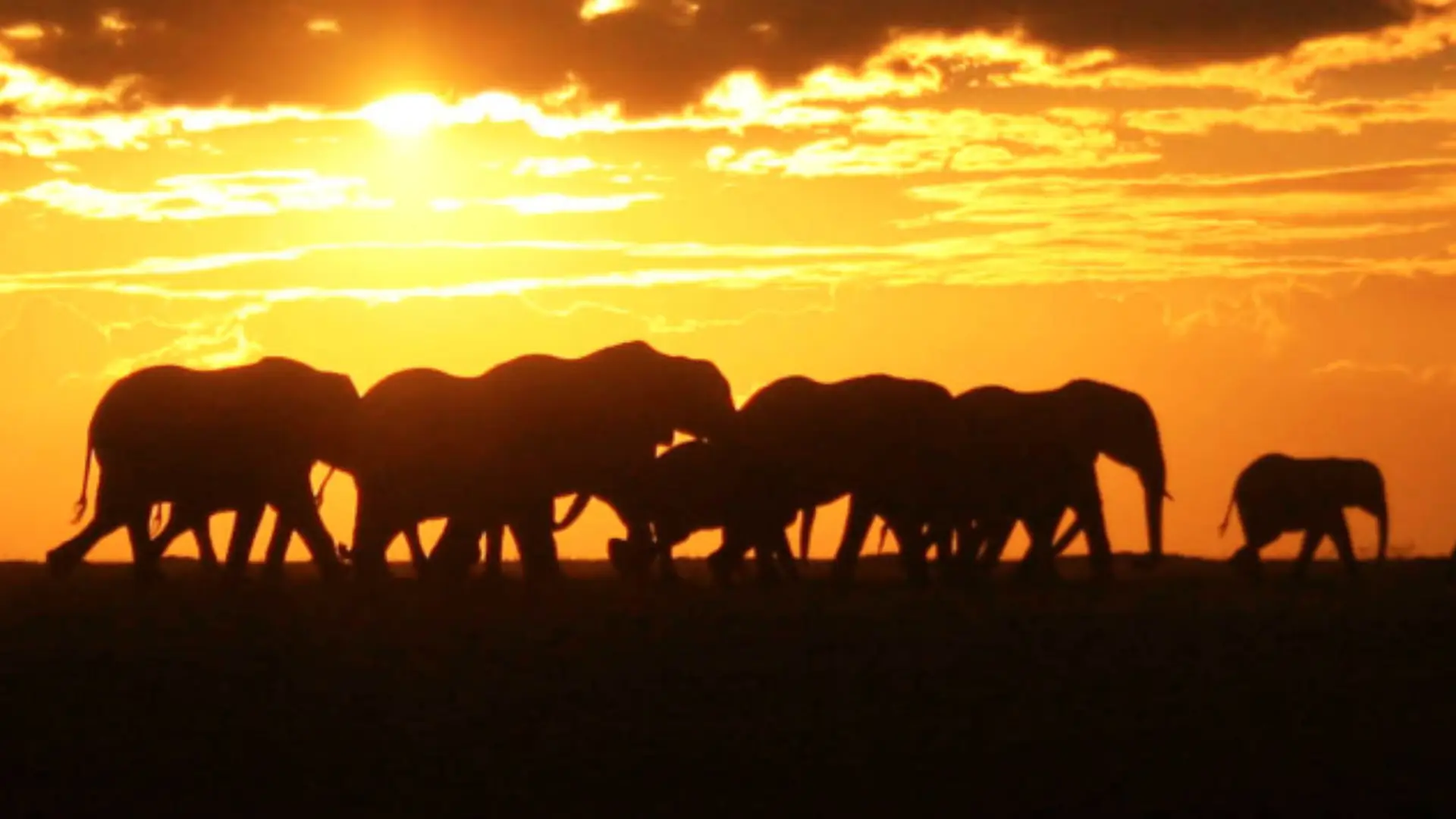 Oost Afrika