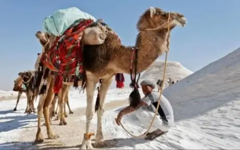 Spirituele reizen in Egypte