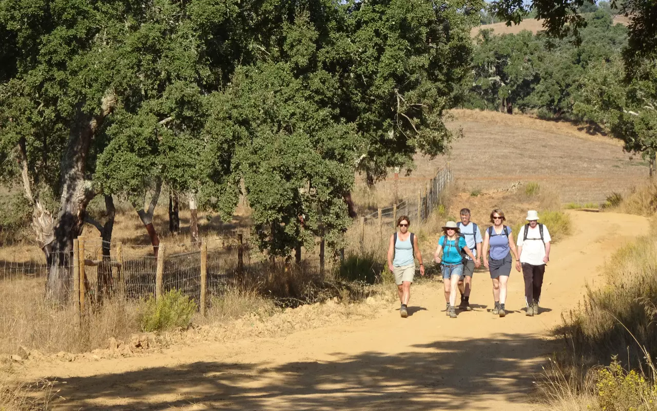 Wandelvakanties