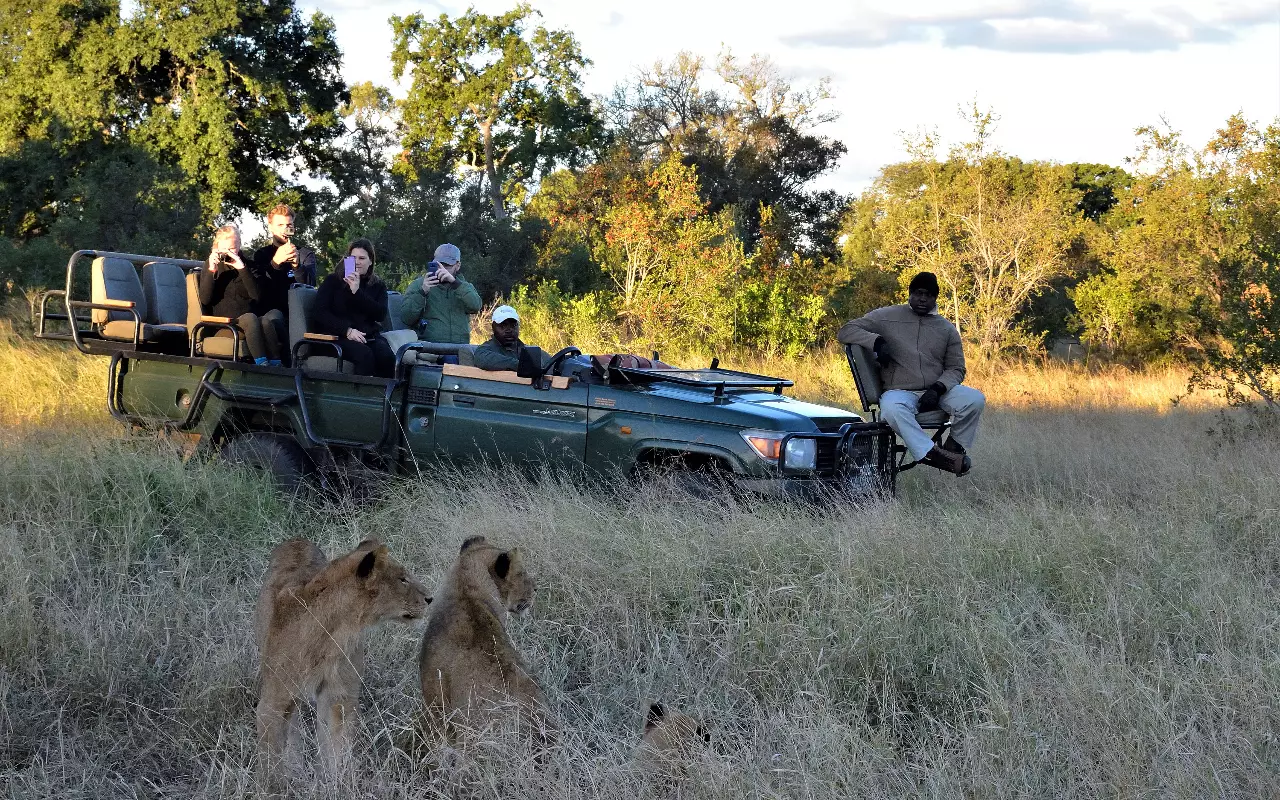 Safari´s in Afrika