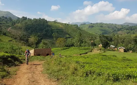 Mountainbike reizen