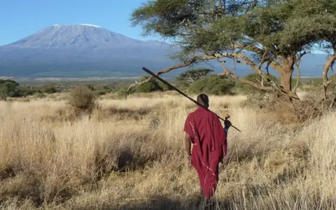 Safari Oost- en Zuidelijk Afrika
