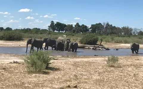 Oost-Afrika
