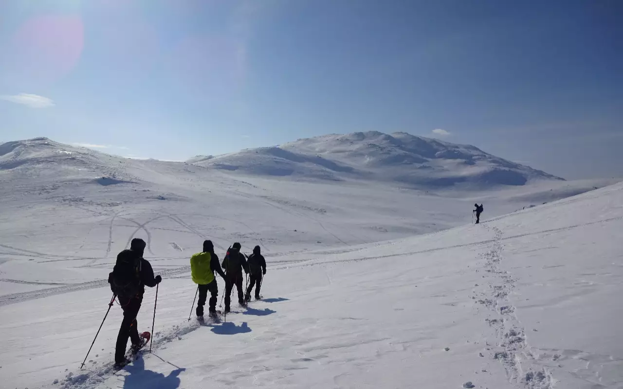 Wildernistrekkings en cursusreizen