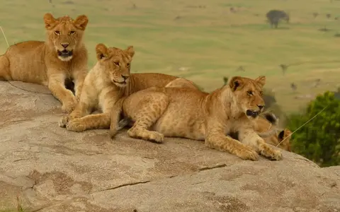 Tanzania