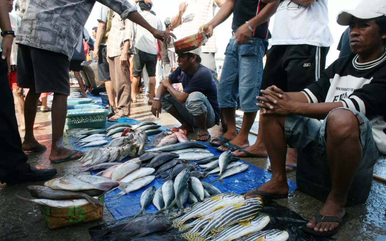 Indonesië
