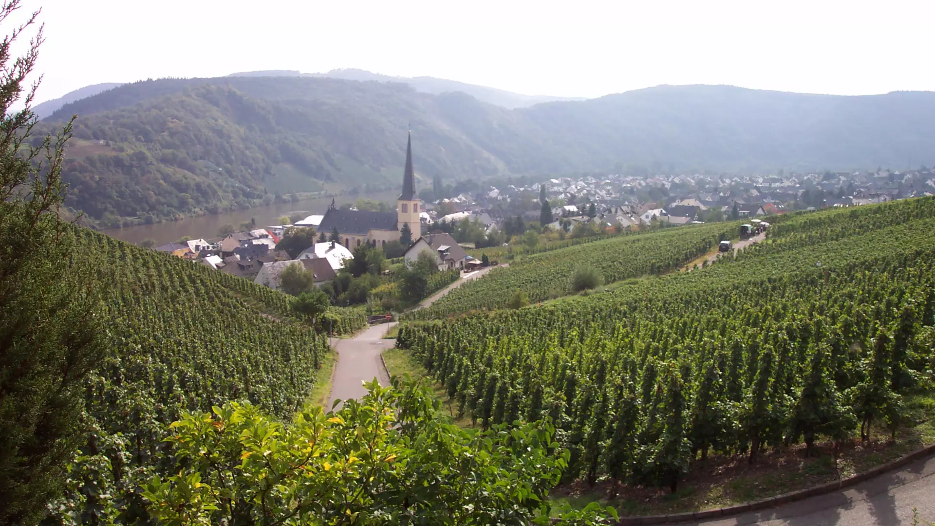 De Moezel-regio in Duitsland