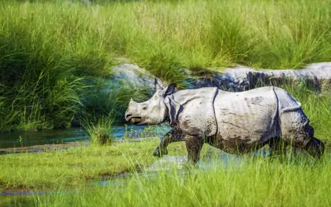 Nepal