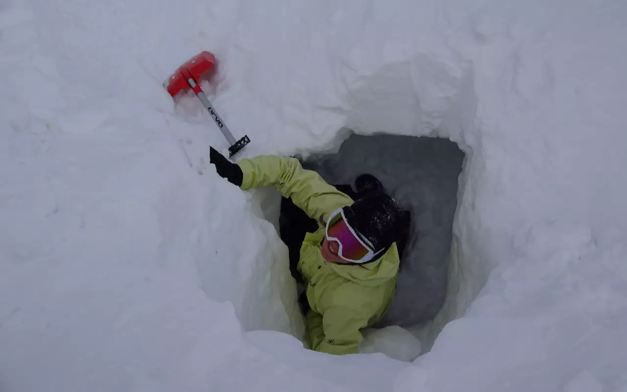 Wildernistrekkings en cursusreizen