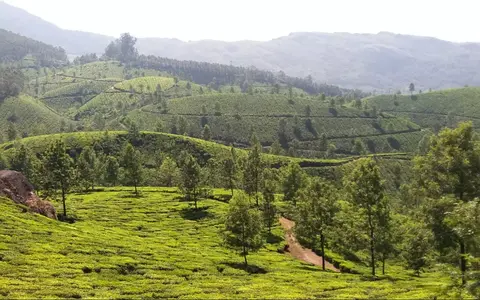 India and Bhutan