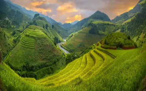 Vietnam