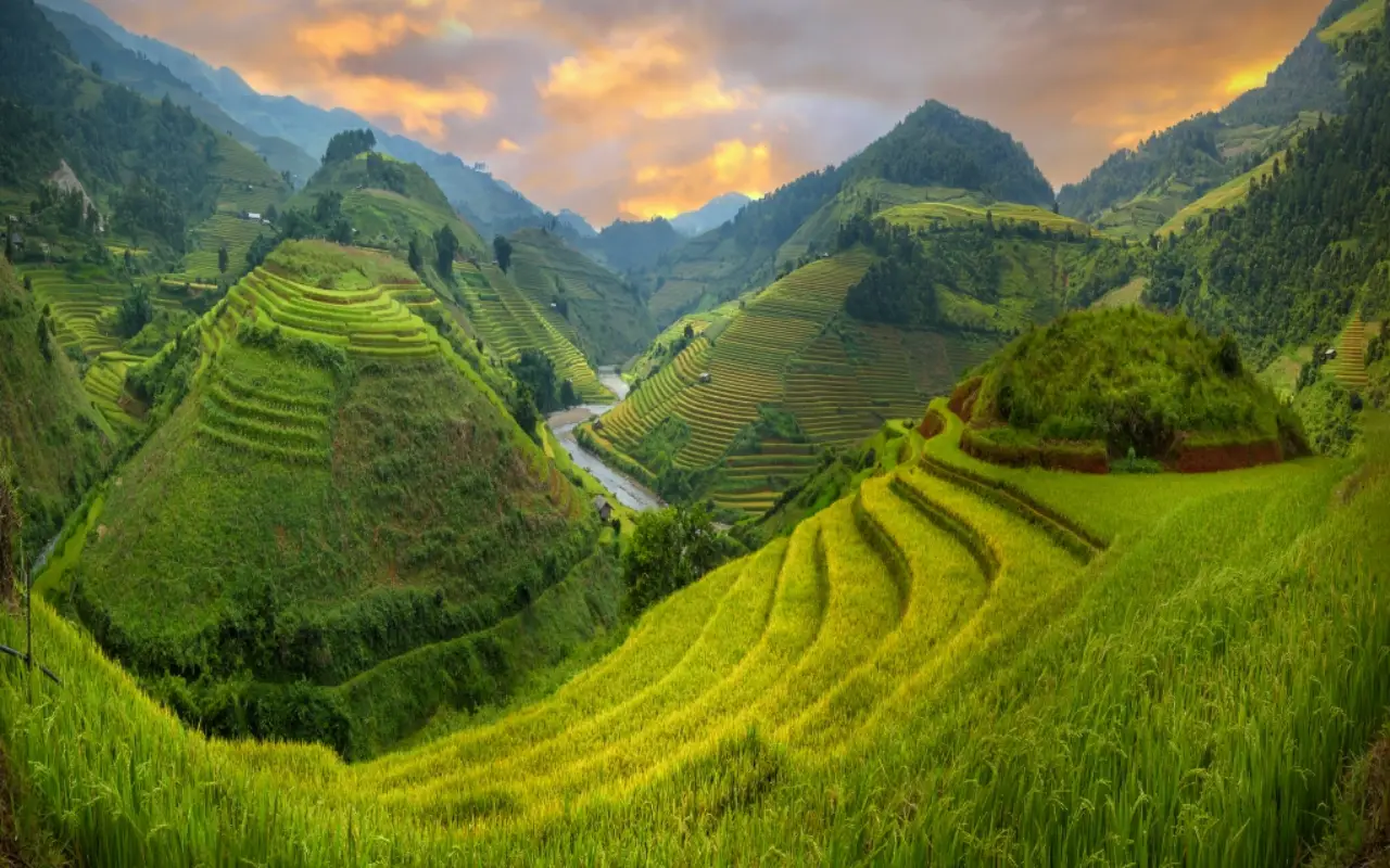 Vietnam