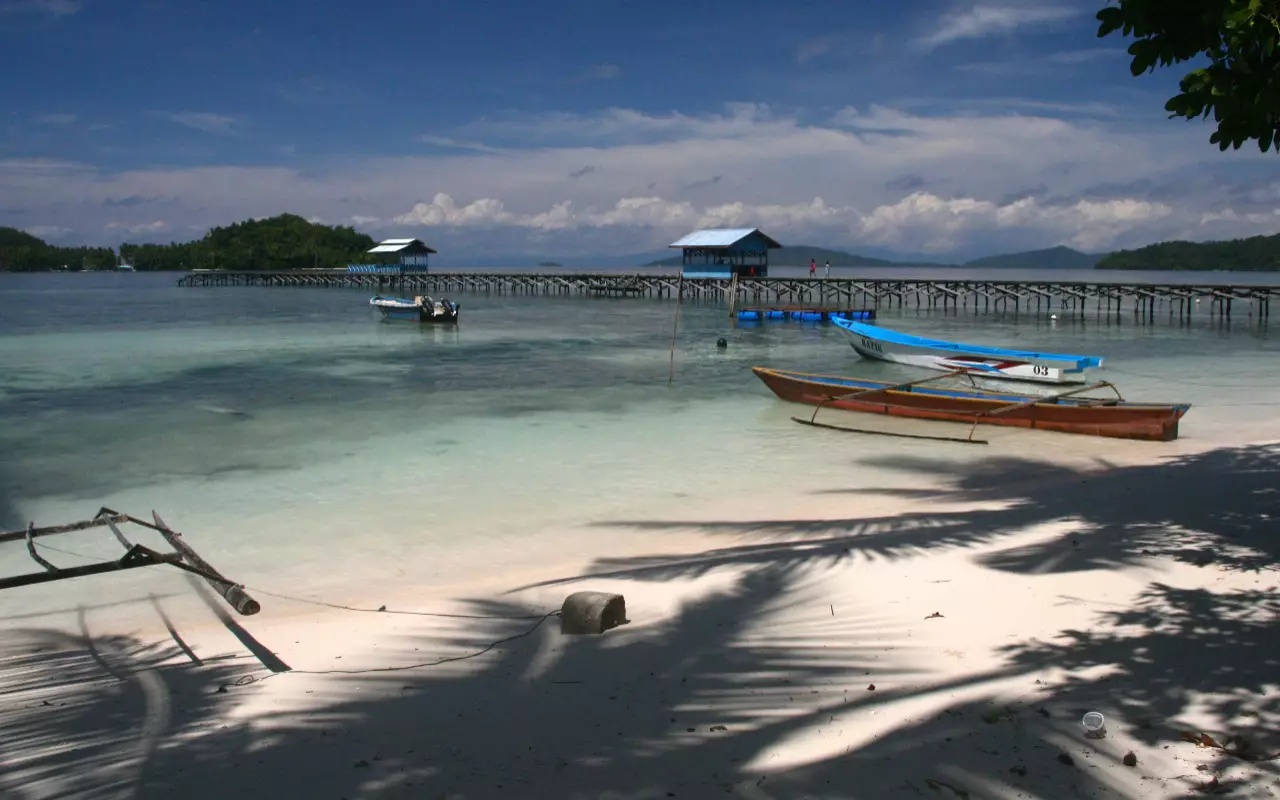 Indonesië