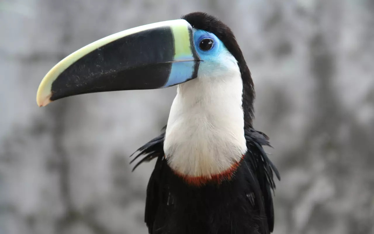 Ecuador & Galapagos