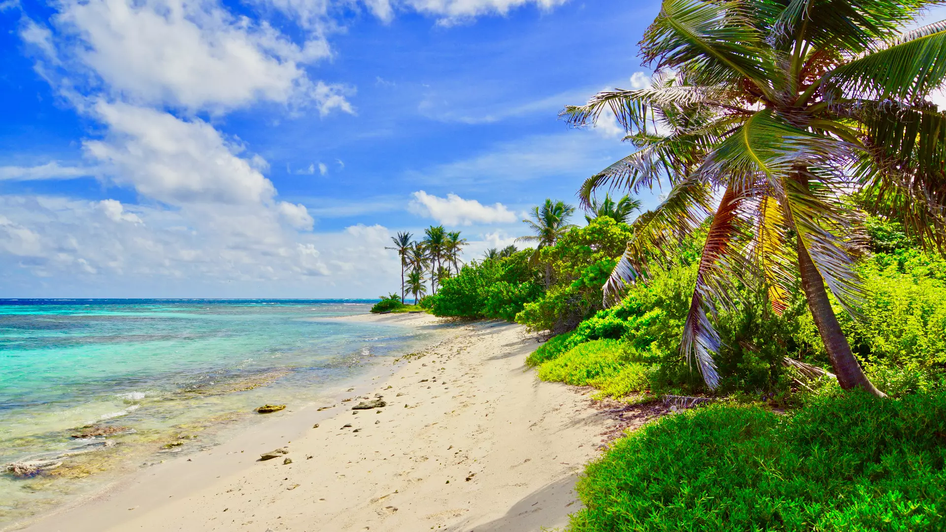 Caraïbische eiland reizen
