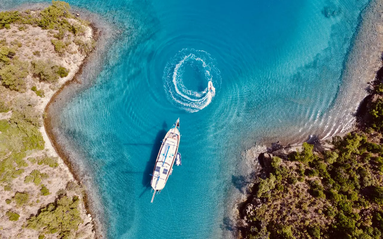 Blue cruises