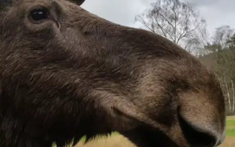 Scandinavië en de Baltische staten