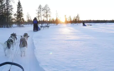 Winter expedities