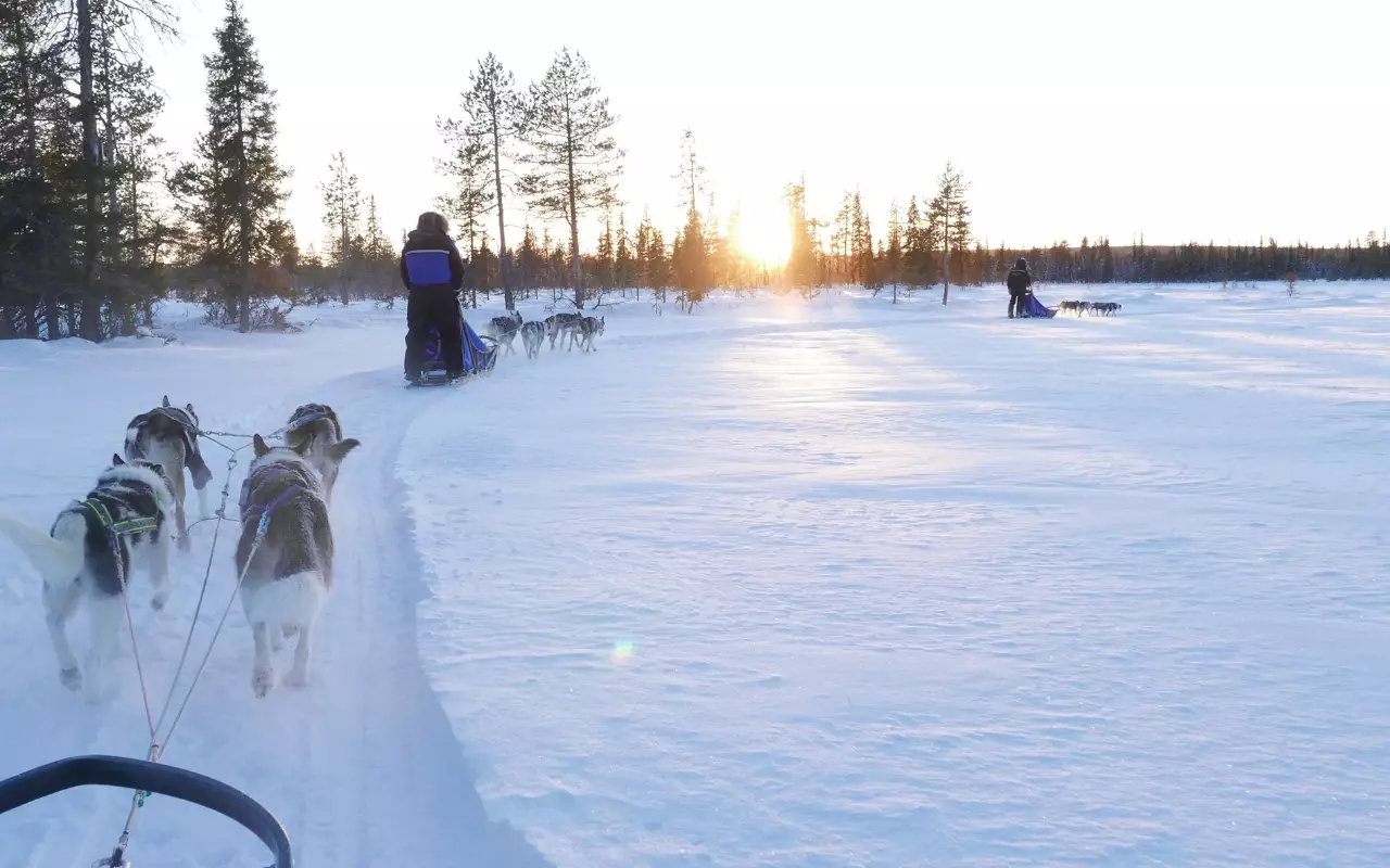 Winter expedities