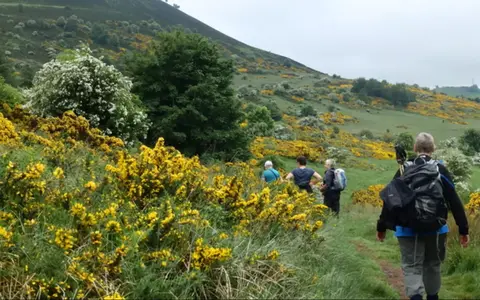 Wandelreizen