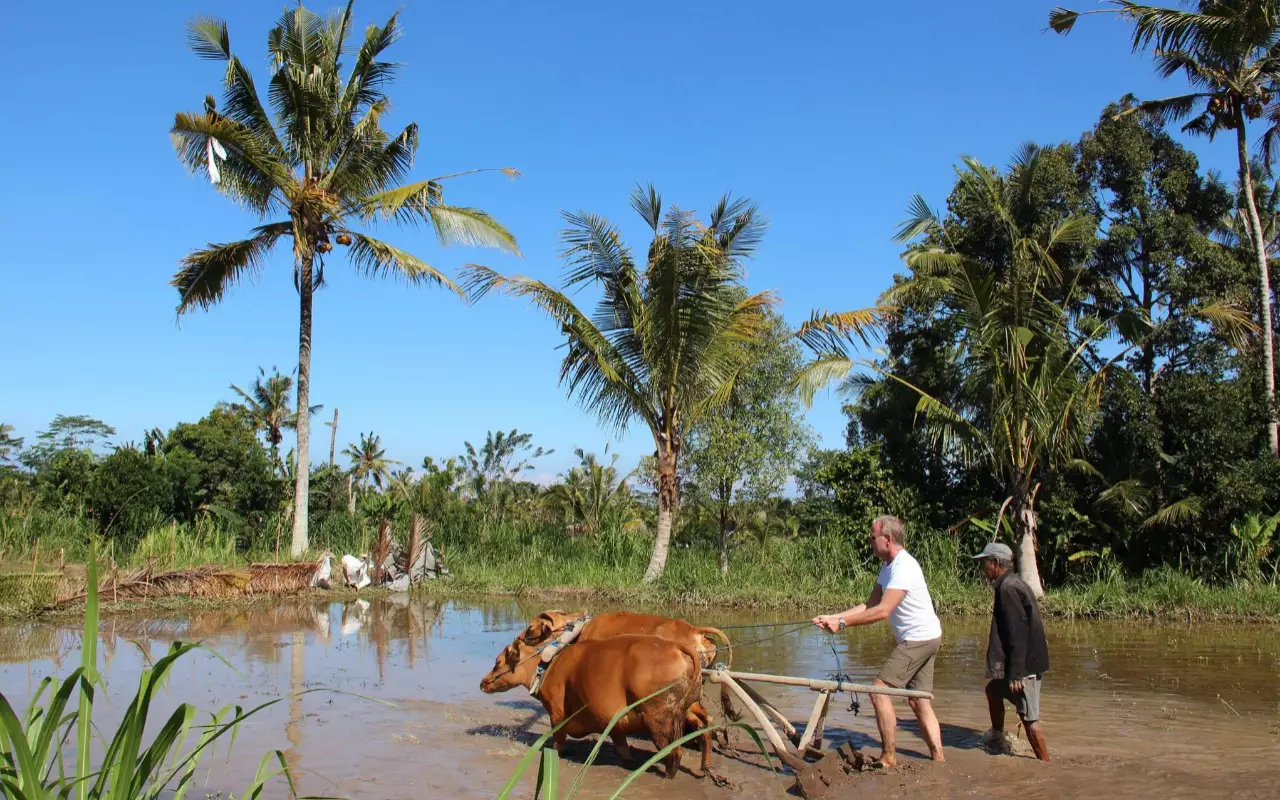 Indonesië