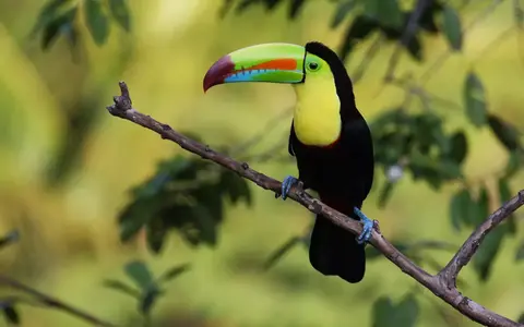 Costa Rica