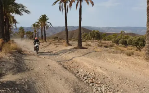 The Offroad Guide
